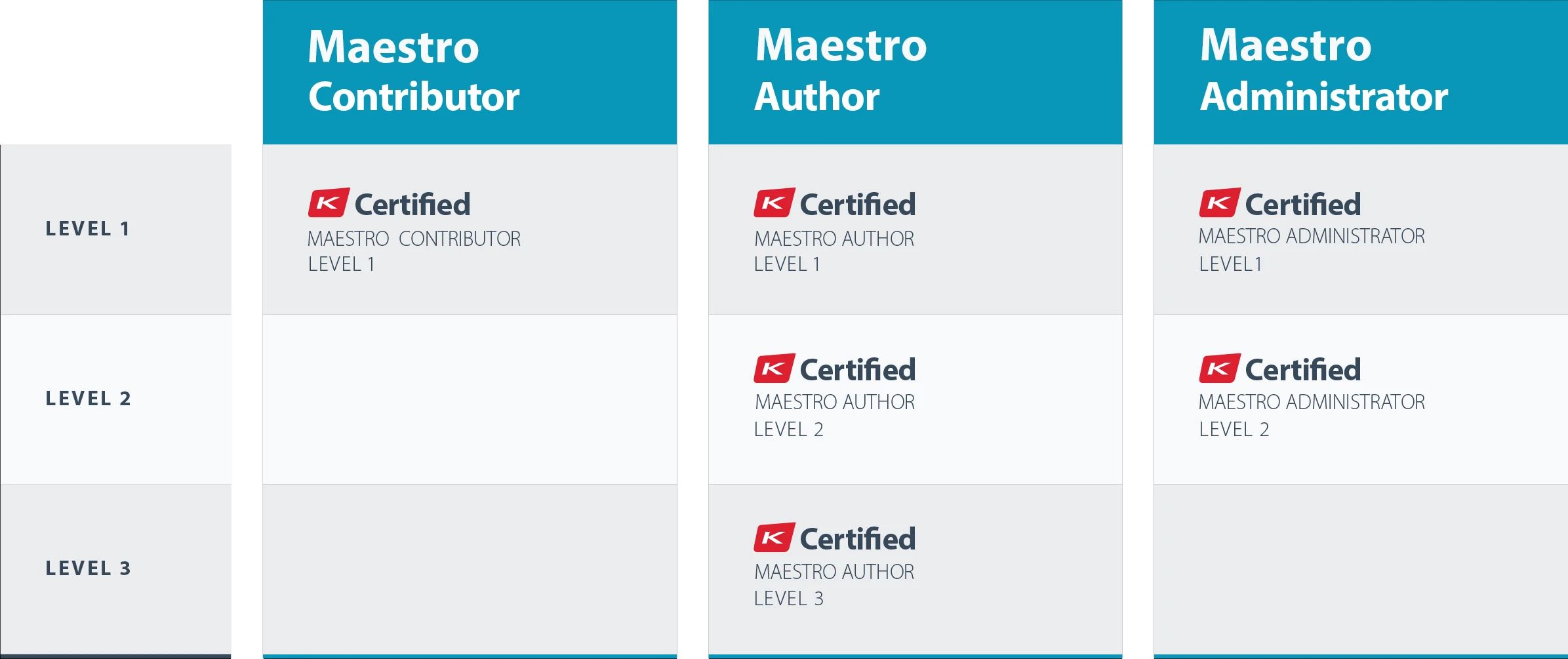 Kinaxis Maestro Certification Levels