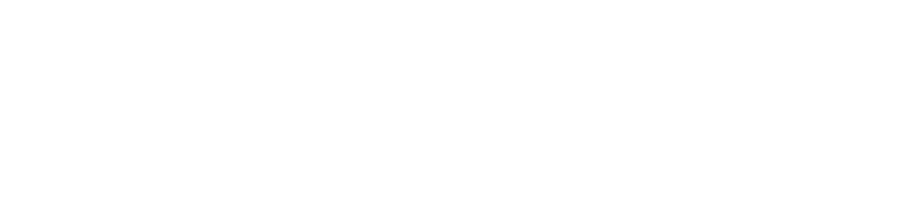 Bluecrux Kinaxis Partner Logo