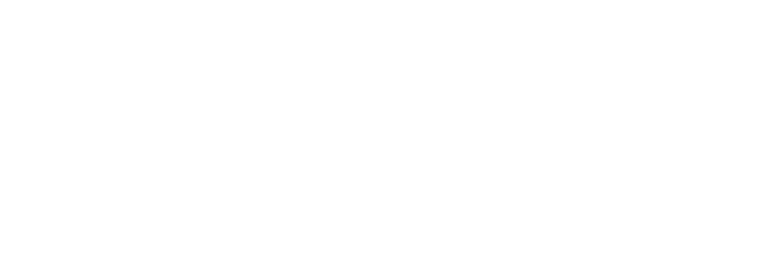 Blume Kinaxis Partner Logo