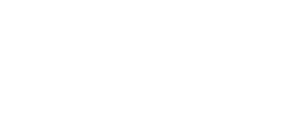 Novolex Logo